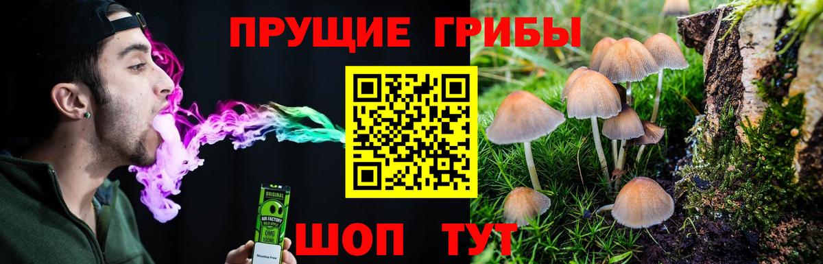 Галлюциногенные грибы ЛСД Мелеуз